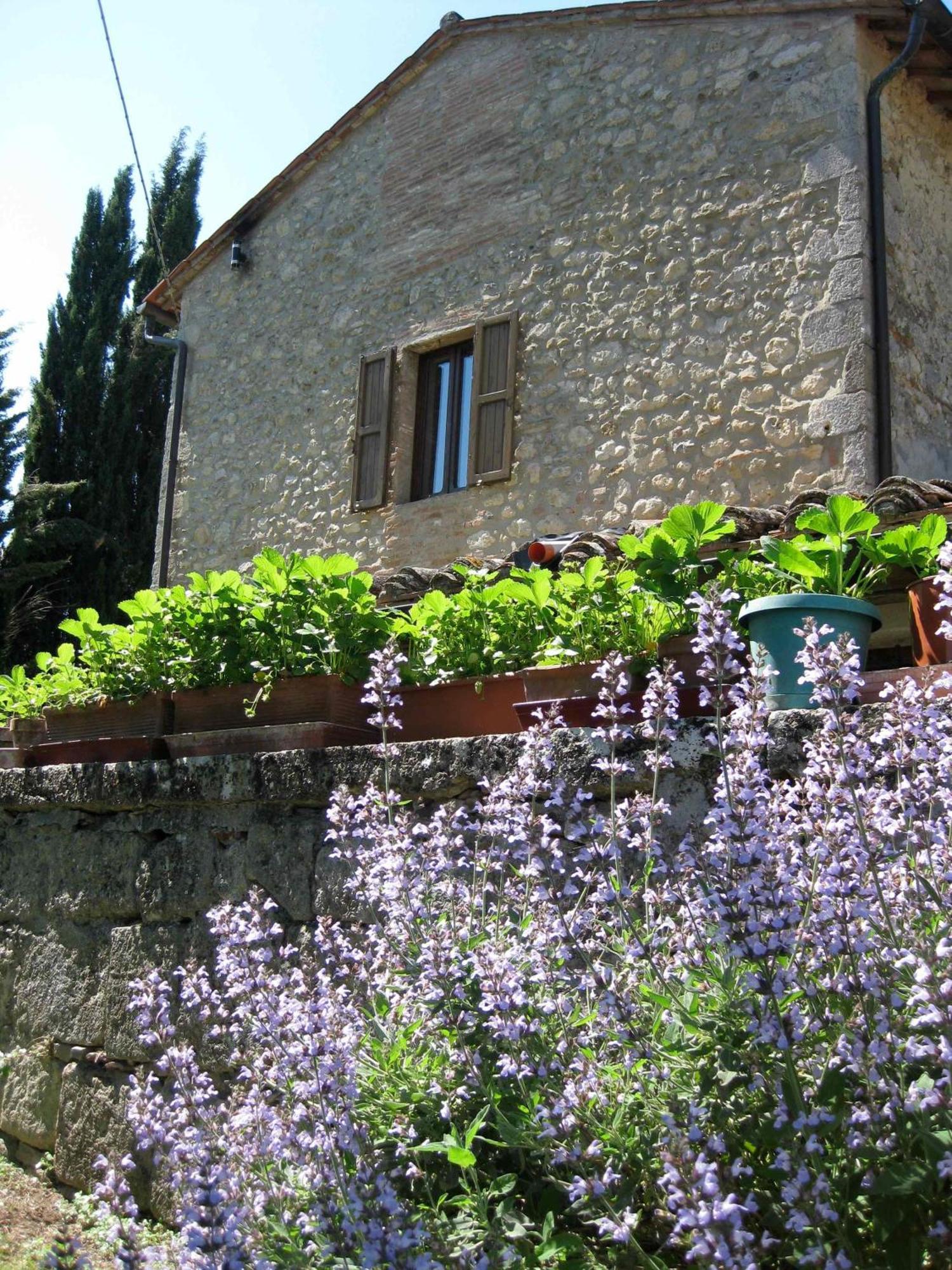 Agriturismo Il Caio Cetona Εξωτερικό φωτογραφία