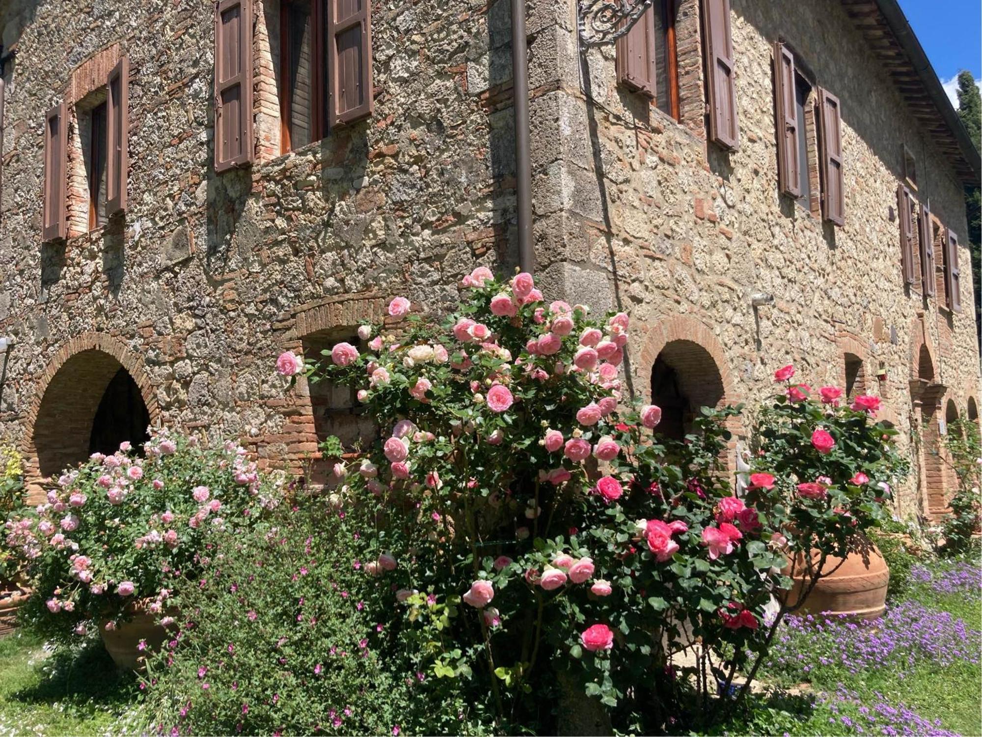 Agriturismo Il Caio Cetona Εξωτερικό φωτογραφία