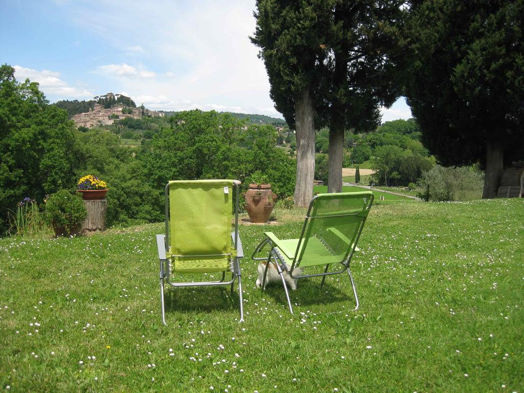 Agriturismo Il Caio Cetona Εξωτερικό φωτογραφία