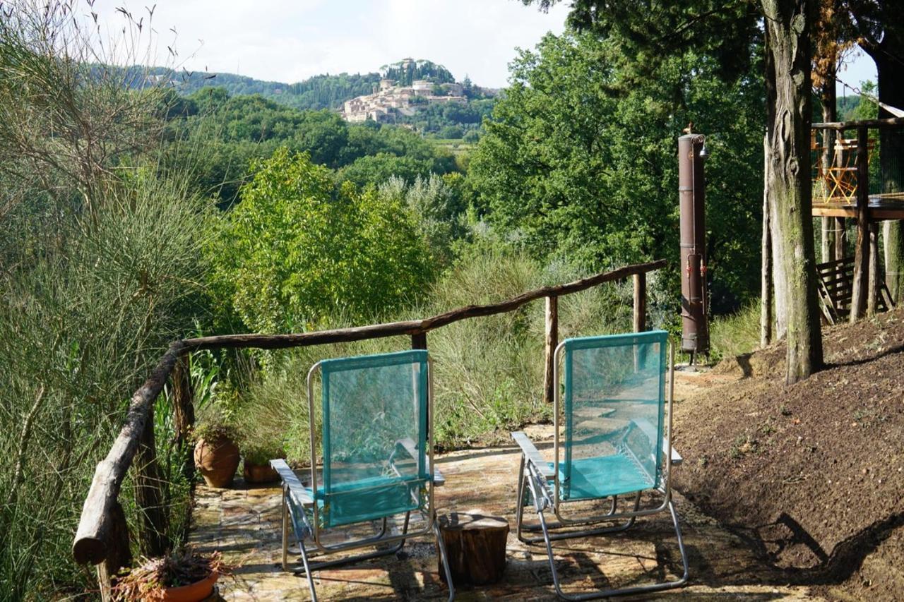 Agriturismo Il Caio Cetona Εξωτερικό φωτογραφία